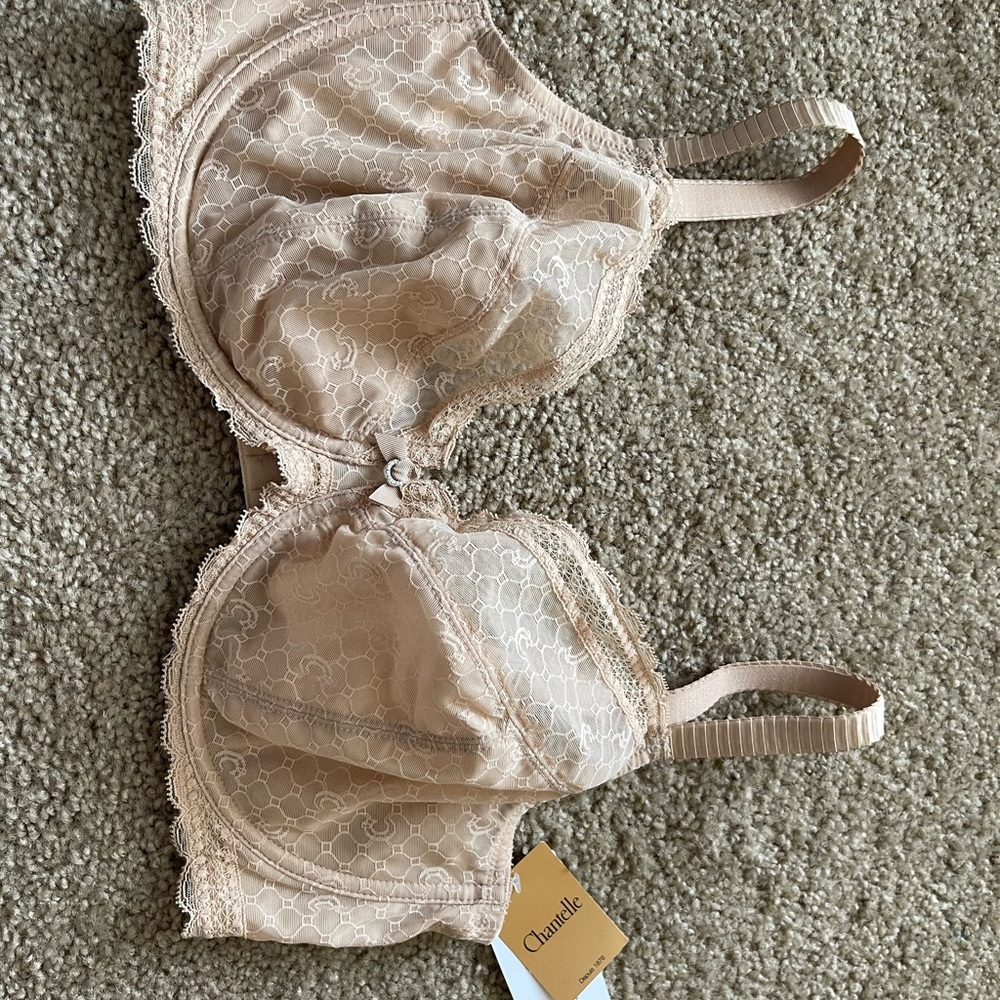 NWT Chantelle nude logo lace underwire bra SEXY CHIC PLUNGE 40DDD $72